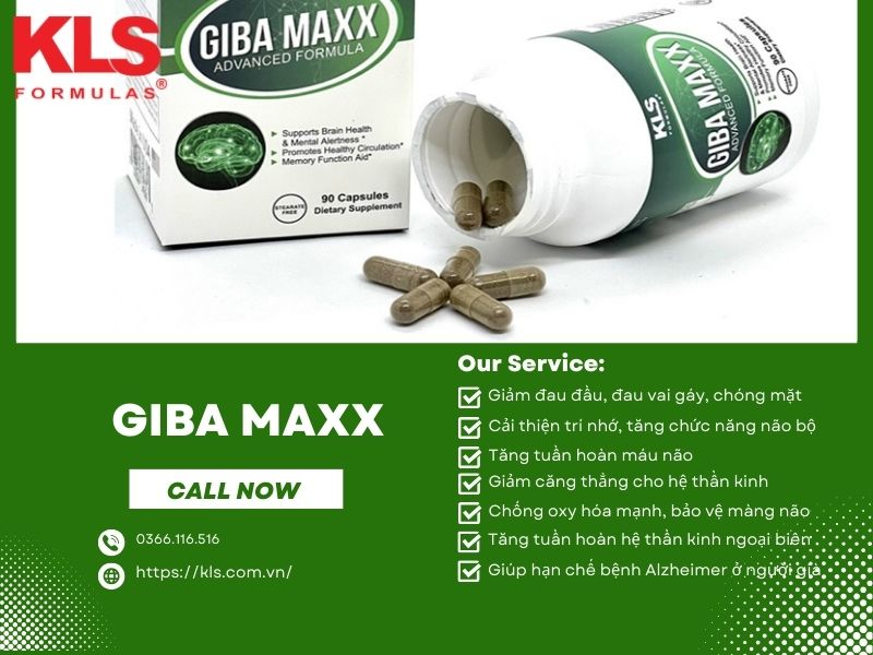 GIBA MAXX Tăng Tuần Hoàn Não - Hỗ trợ tăng khả năng tập trung